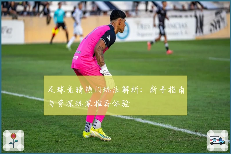 足球竞猜热门玩法解析：新手指南与资深玩家推荐体验