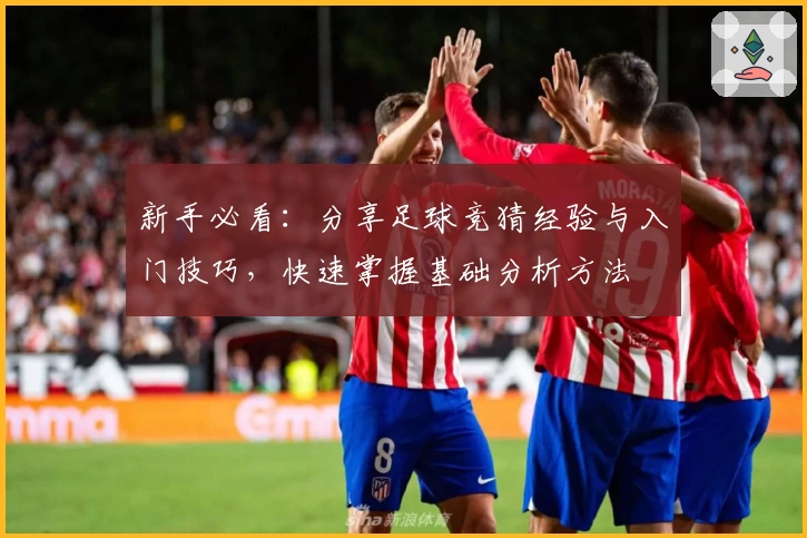 新手必看：分享足球竞猜经验与入门技巧，快速掌握基础分析方法