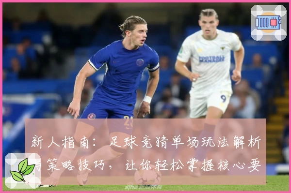 新人指南：足球竞猜单场玩法解析与策略技巧，让你轻松掌握核心要点