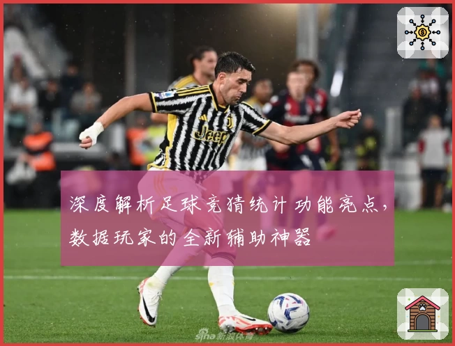 深度解析足球竞猜统计功能亮点，数据玩家的全新辅助神器